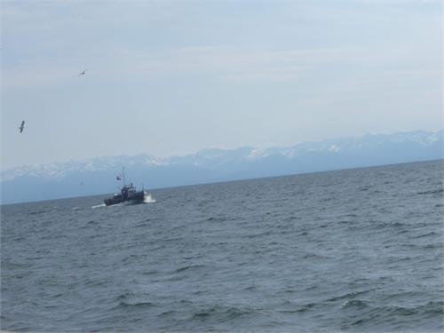 645.jpg