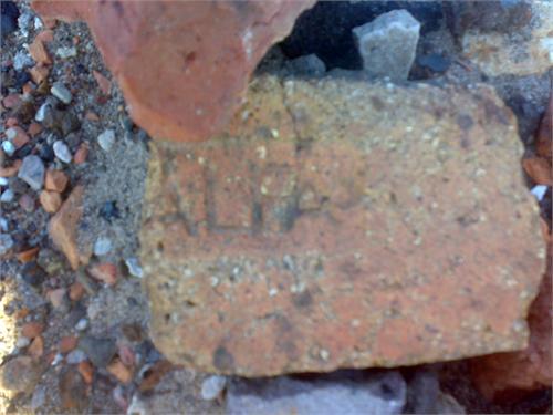 952.jpg