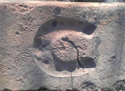 961.jpg