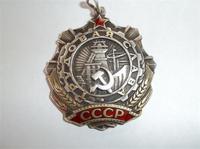 Орден трудовой славы.