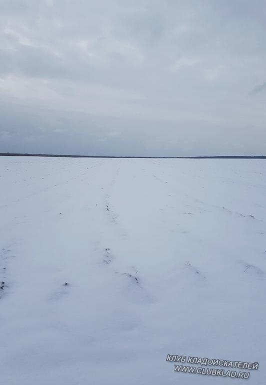 Красота
