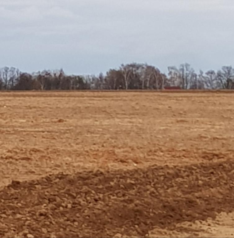 На этоп поле его поднял!!!