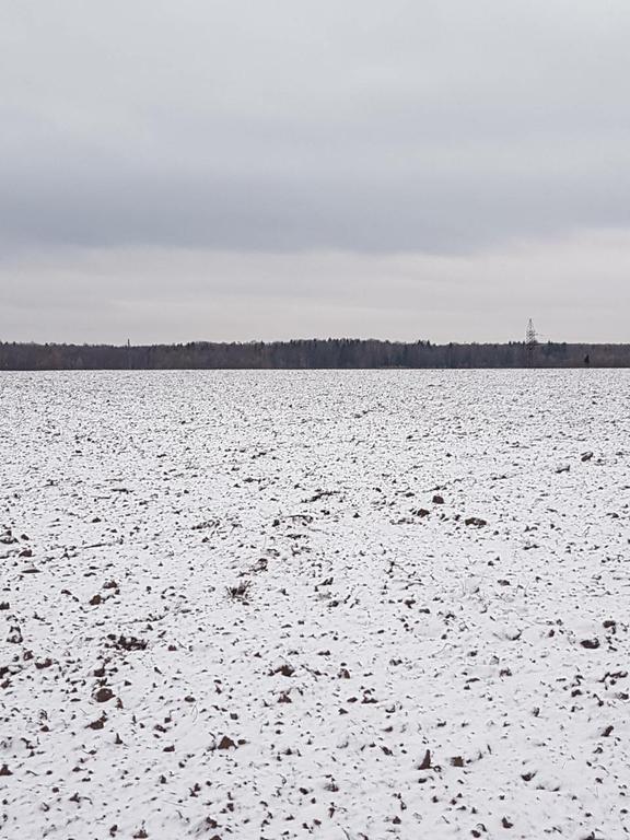 наше любимое поле!!!