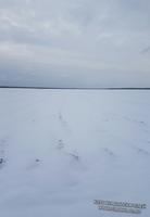 Красота