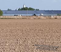 Поле у деревни