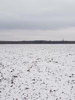 наше любимое поле!!!