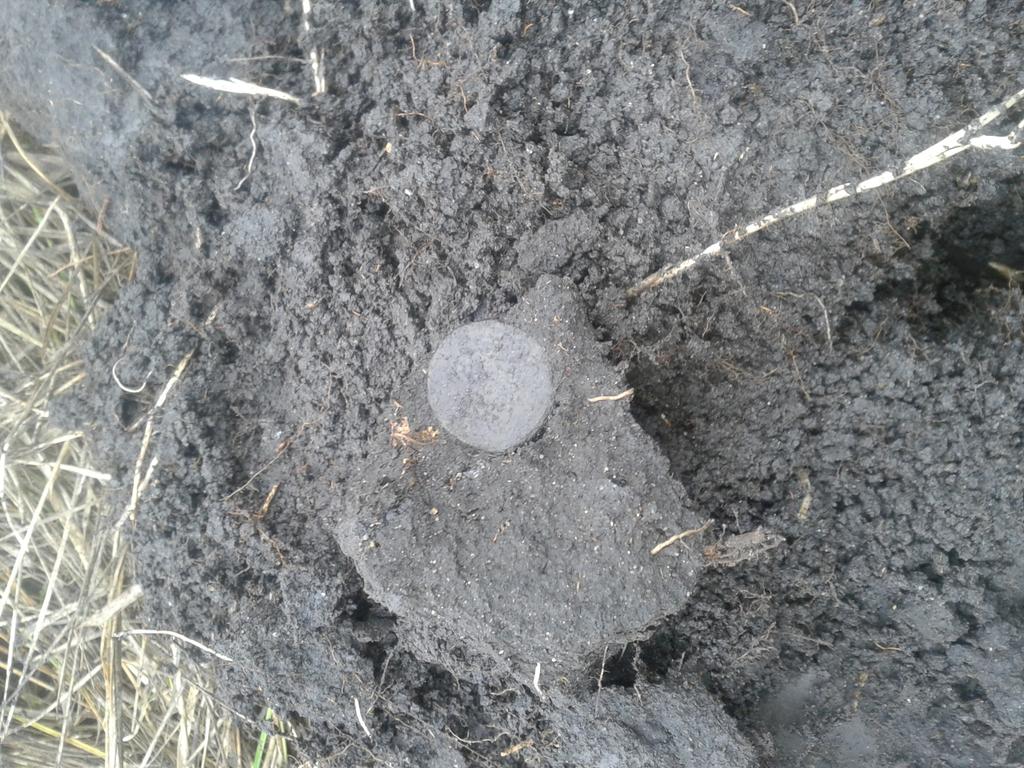 Открыл сезон