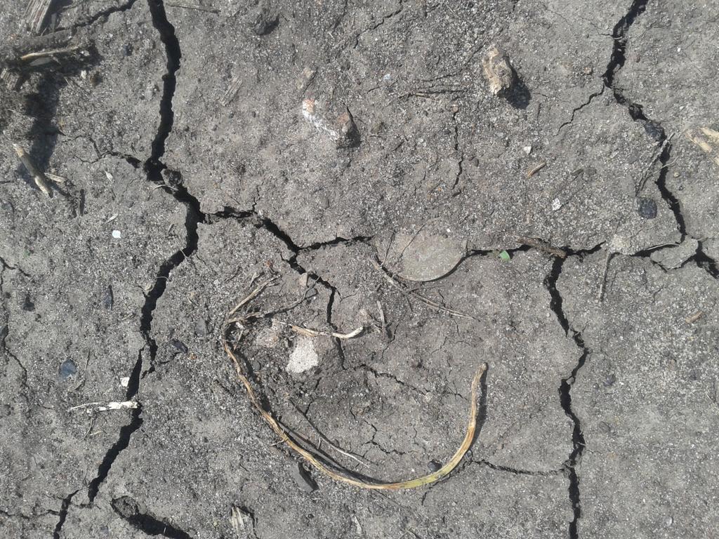 после дождя