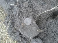 Открыл сезон