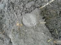 Открыл сезон