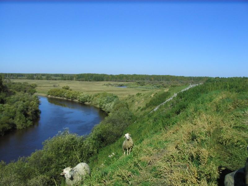 Река тара