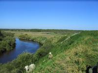 Река тара