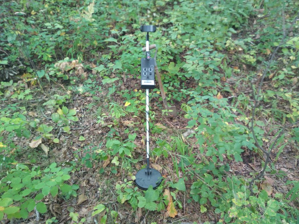 Пробный выезд