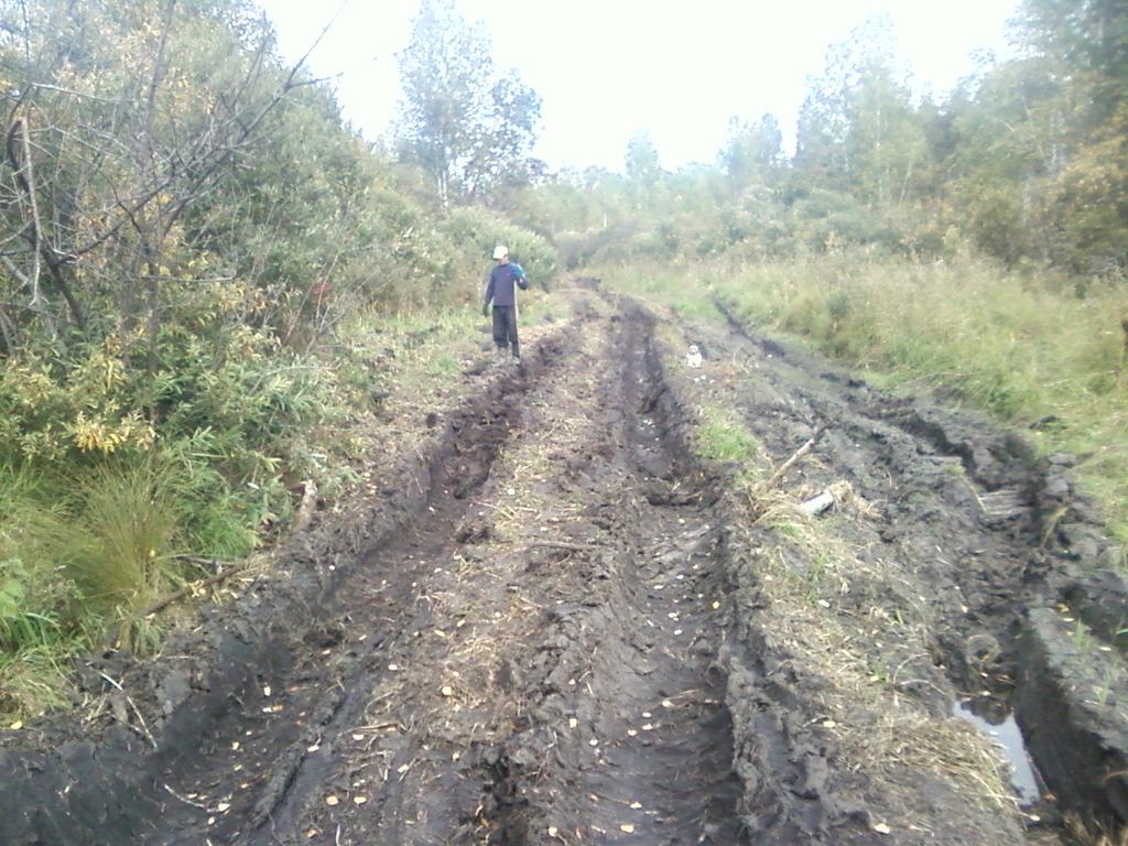 Разведка - дело тонкое! Плохо оценишь, хорошо покопаешь!