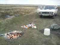 Весна пришла и мы проснулись!