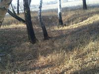 Воронки от взрывов, сроки не известны. Только предания старины глубокой!