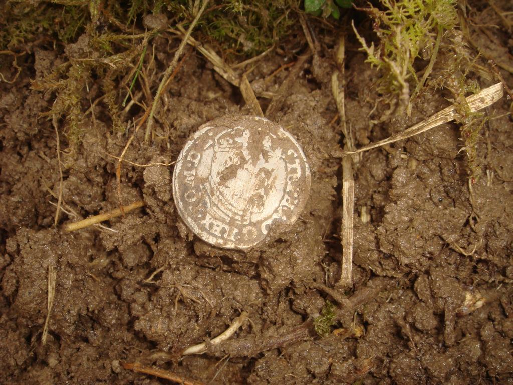 Монета Баторий из клада найденного в лесу. Где искать клады. 