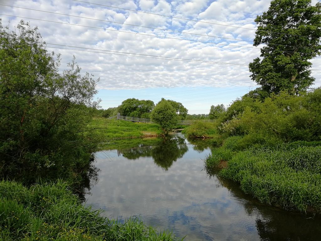 Запруда бывшей мельницы. Стояла на месте, где подвесной мост сейчас