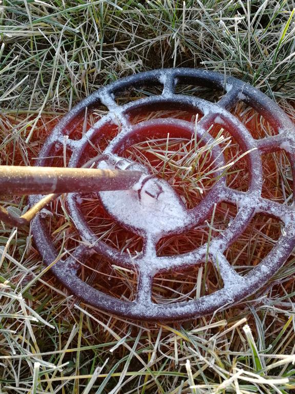 Первый иней