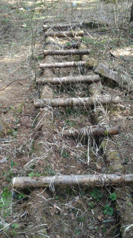 Лестница, а рядом на деревьях лежанка охотников