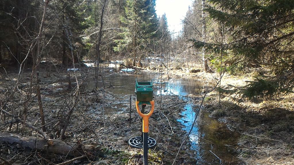 И вот такая красота вокруг