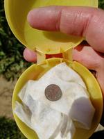 Денежка Николай I