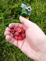 Малинка, хрен поймёшь где