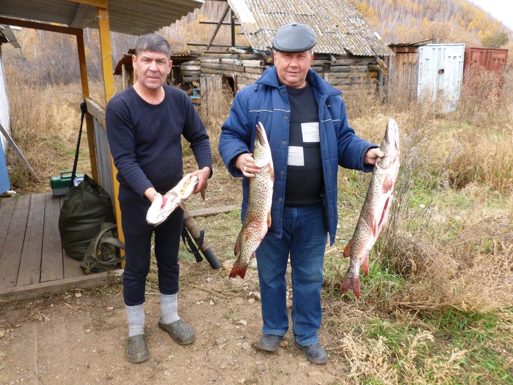 улов