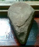 910.jpg