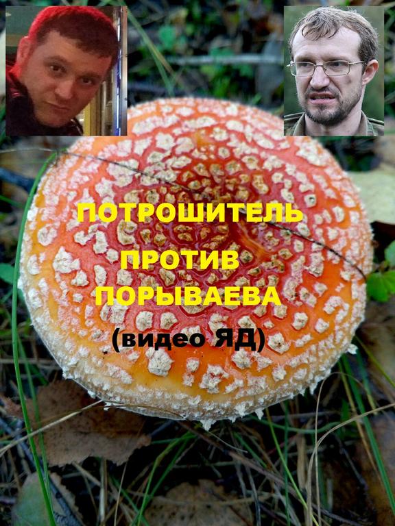 кккккк