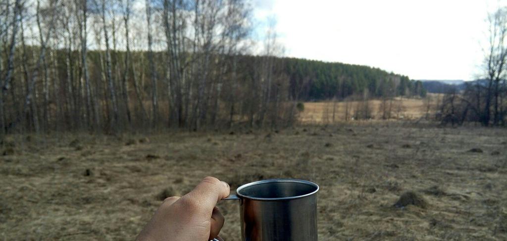 цккцк