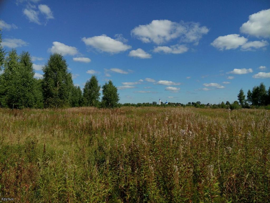 ц