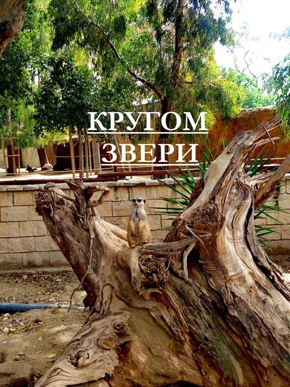 вфывыфв