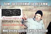 цв
