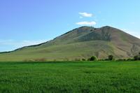 заказник