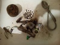 Всякая всячина на дне старого пруда