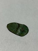 Непонятная находка