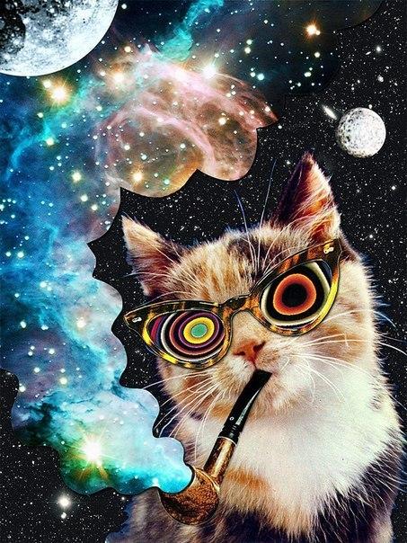Котэ