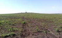 вид на курган с дорогои