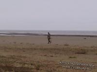 берег