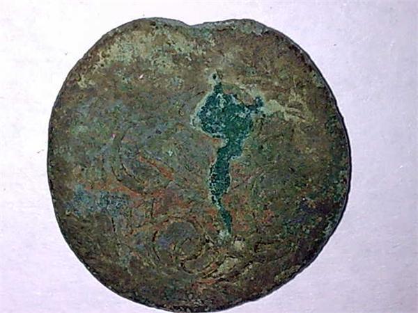 1381.jpg