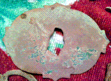 2548.gif