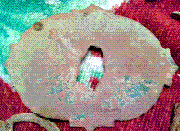 2548.gif