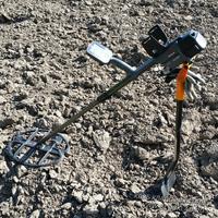 Верный друг