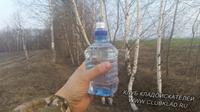 Березовый сок