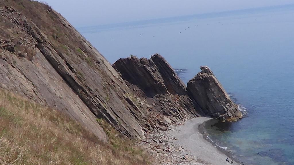 оре