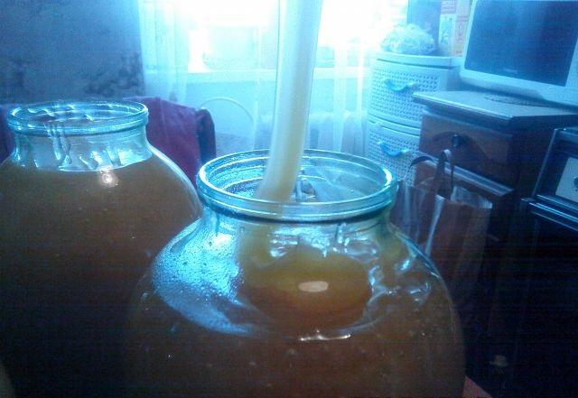 Продам Мёд из Воронежской области