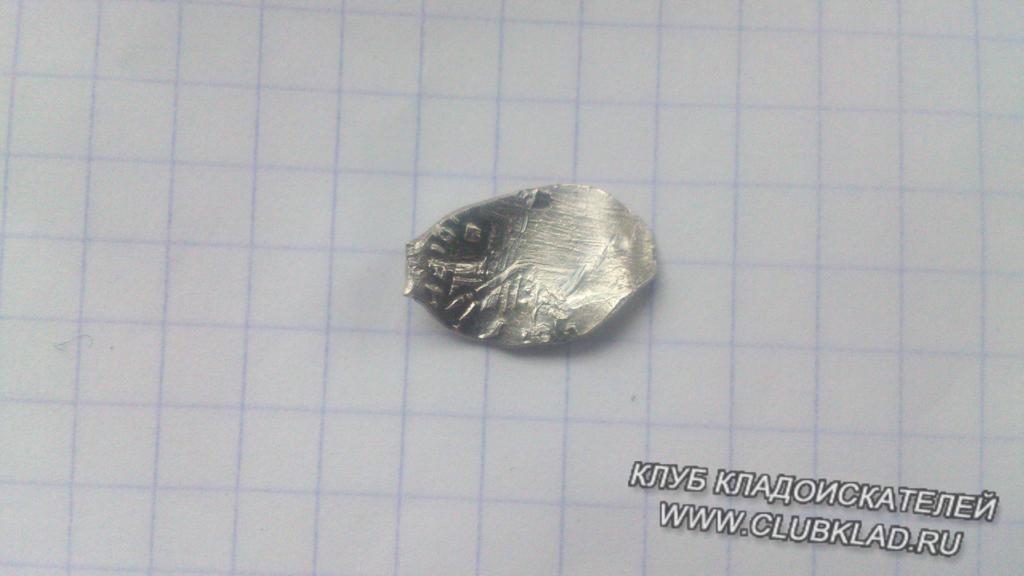 большая чешуевина