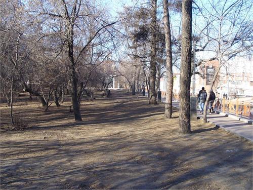 Сад со стороны ул.Декабрьских Событий.