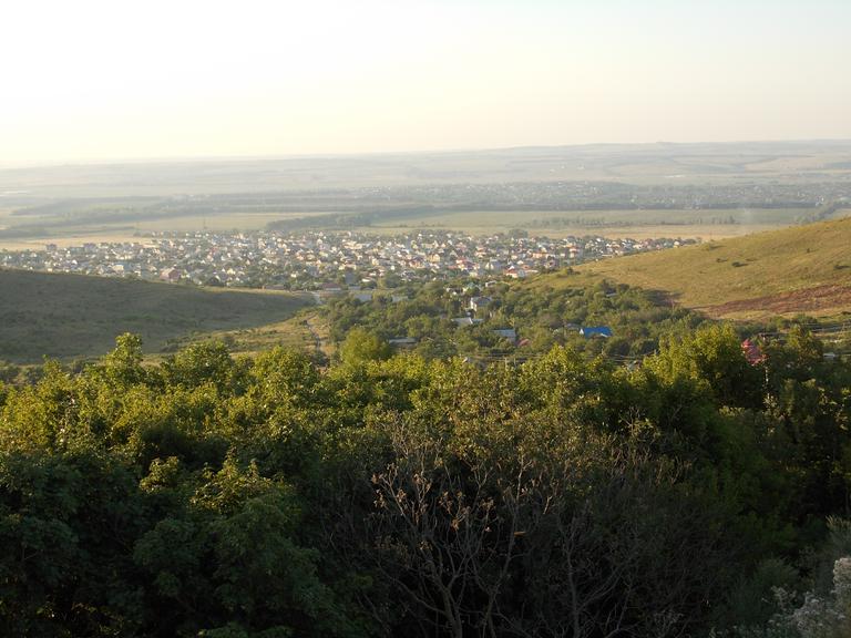 DSCN0575